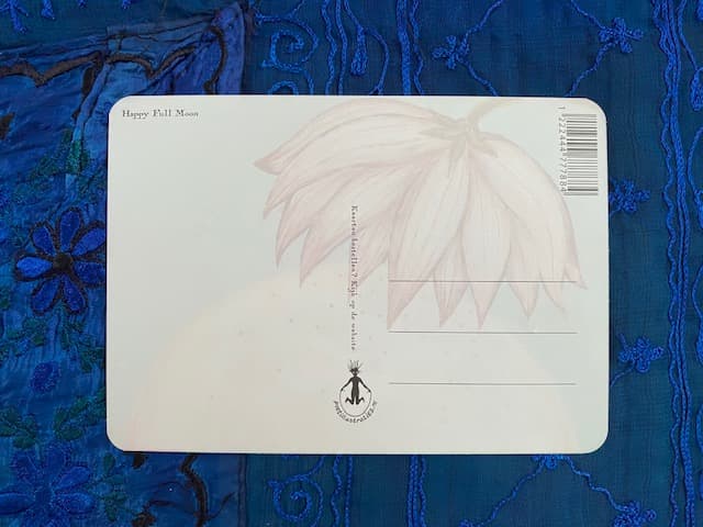 POSTCARDSET 'BLUE'  4 postcards - image 6