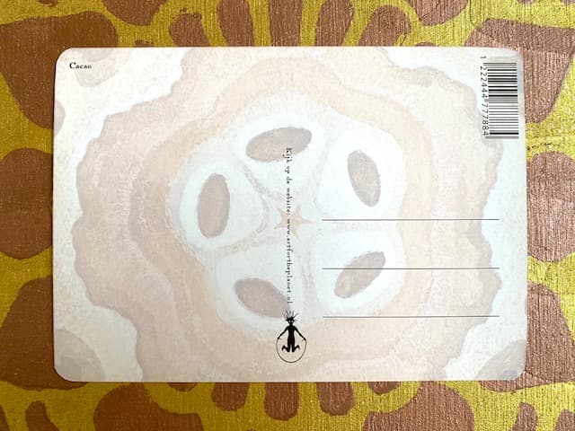 POSTCARDSET 'CACAO'  4 postcards - image 5